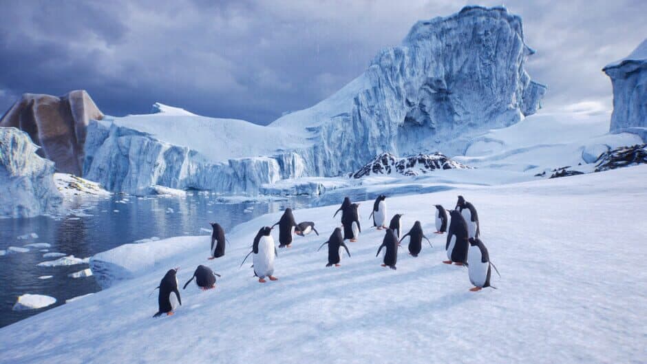 Скриншот 4 из Lonely Penguin