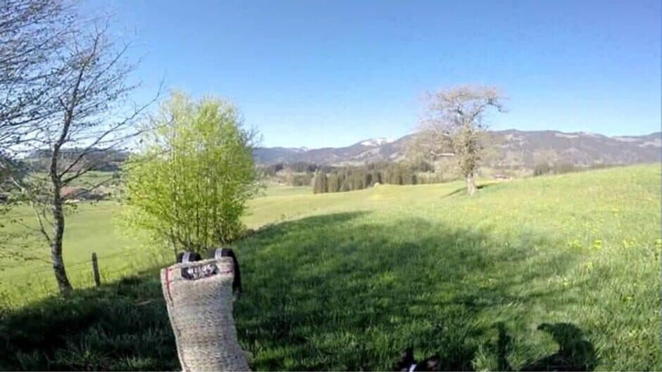 Скриншот 2 из BorderCollie Game