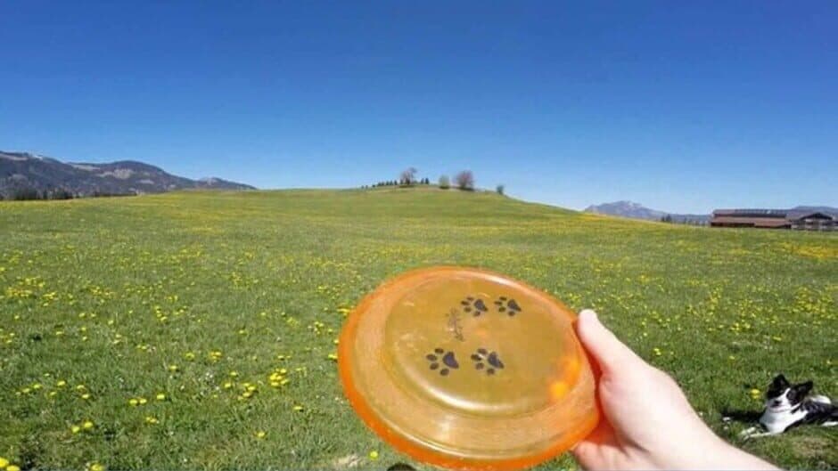 Скриншот 3 из BorderCollie Game