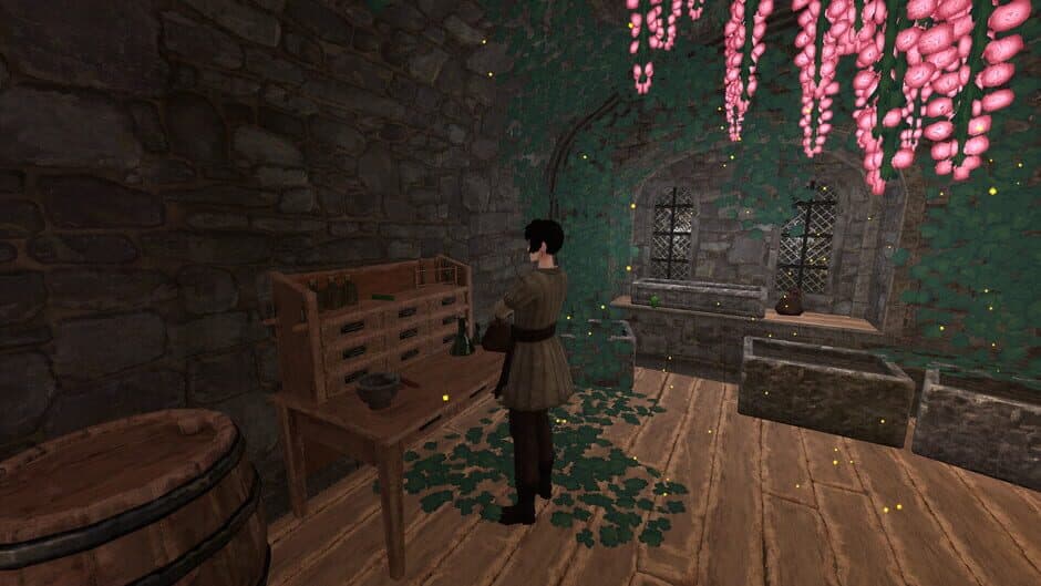 Скриншот 4 из D' Mär Lucidium: Grimmgart