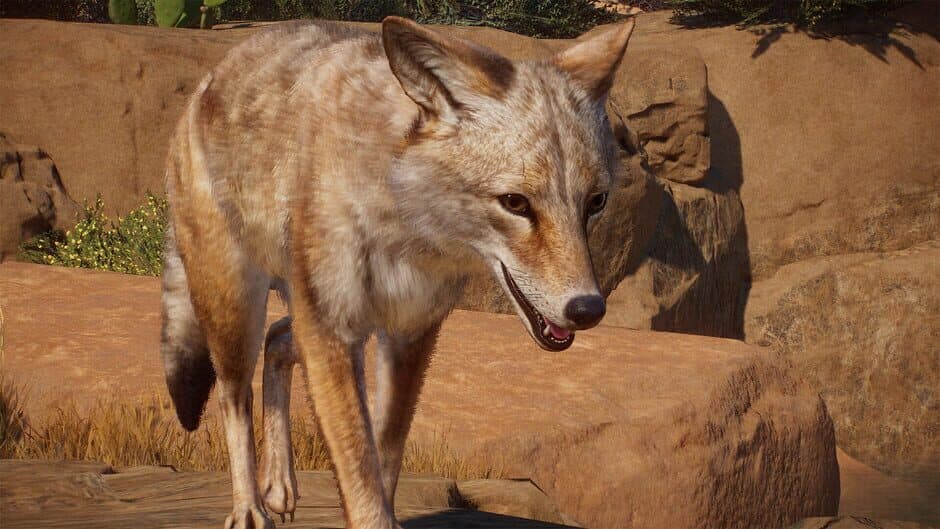 Скриншот 3 из Planet Zoo: Americas Animal Pack
