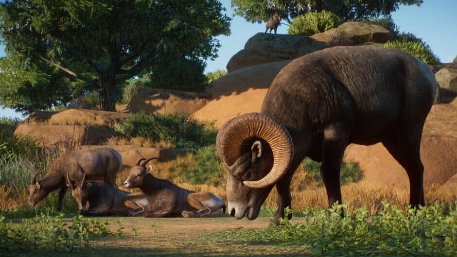 Скриншот 1 из Planet Zoo: Americas Animal Pack