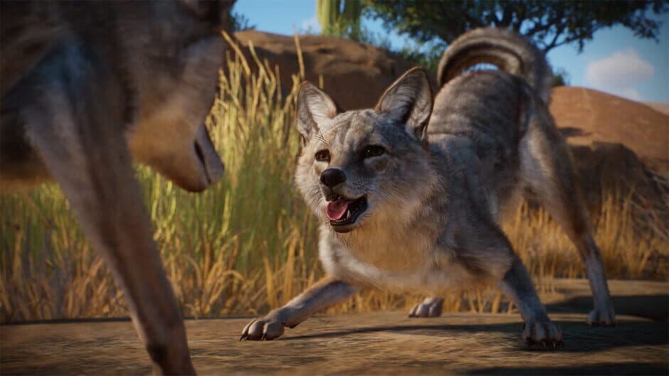 Скриншот 4 из Planet Zoo: Americas Animal Pack