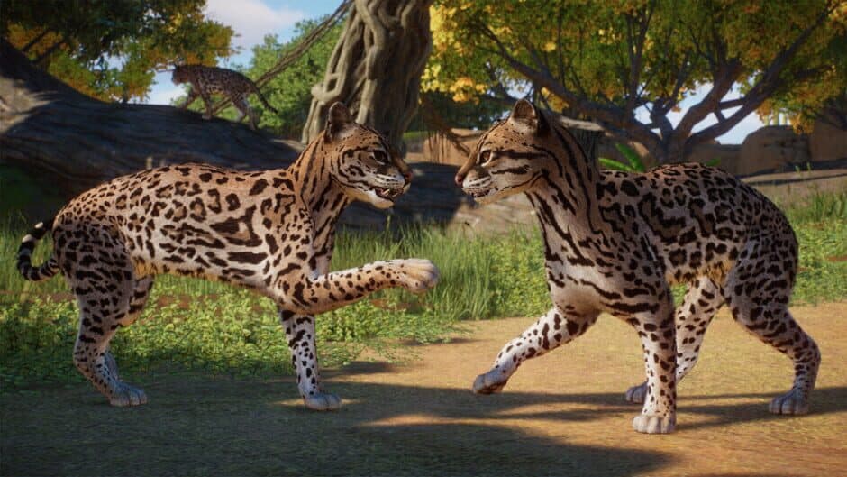 Скриншот 7 из Planet Zoo: Americas Animal Pack