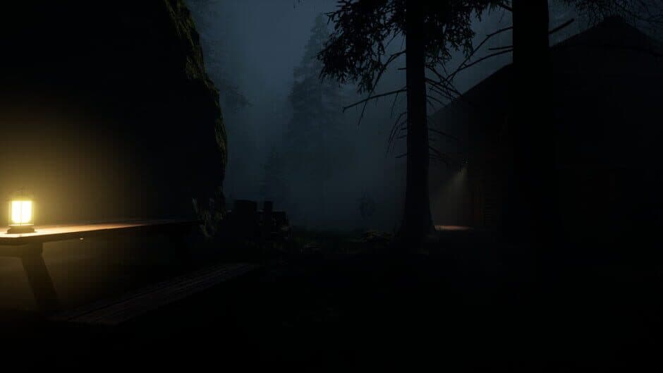 Скриншот 1 из Werewolf Hunter: Night of Horror