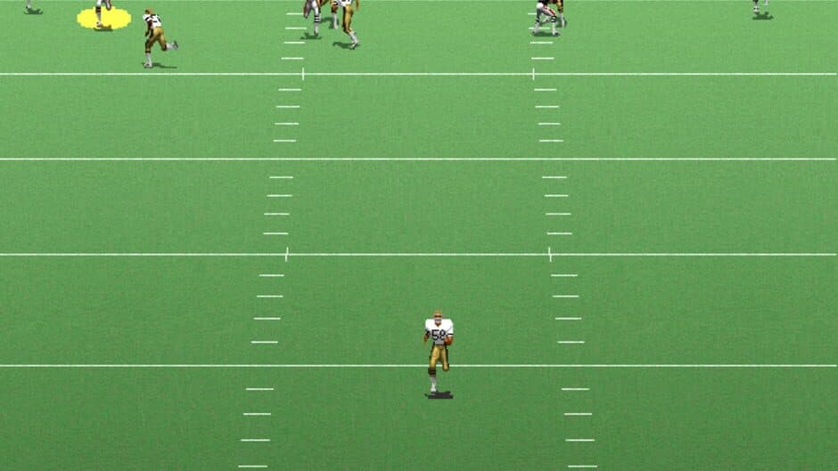 Скриншот 4 из Unnecessary Roughness '96
