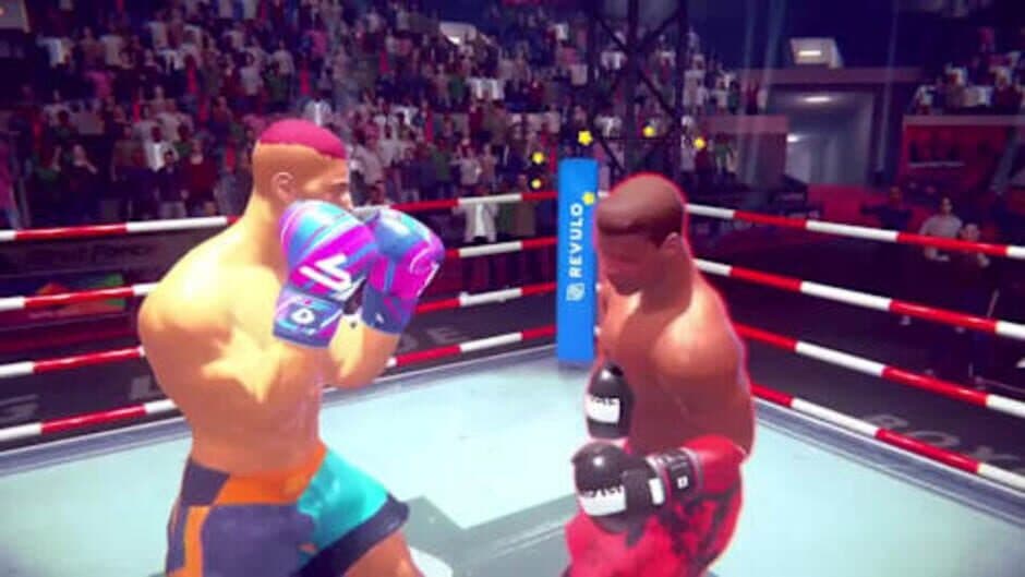 Скриншот 1 из Casual Sport Series: Boxing