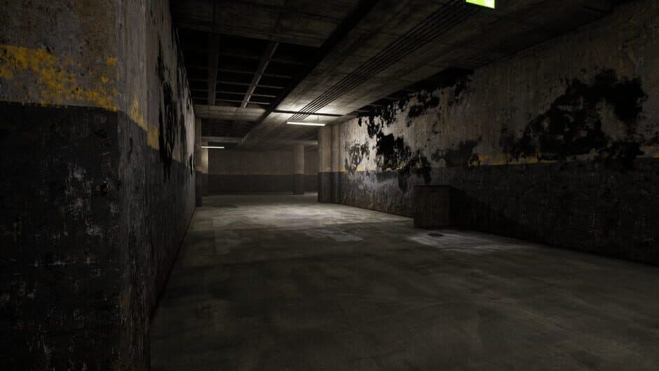 Скриншот 5 из The Abandoned Levels