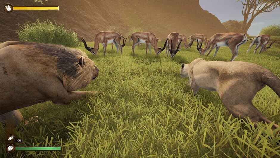 Скриншот 7 из Lion Simulator RPG: Animal Battle Survive