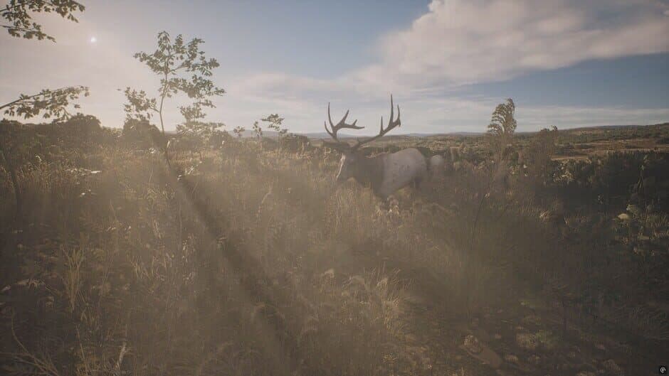 Скриншот 1 из Project Hunt: Lone Star Hunting Ranch