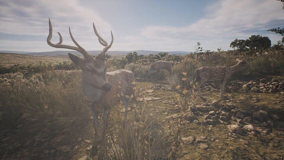 Скриншот 2 из Project Hunt: Lone Star Hunting Ranch