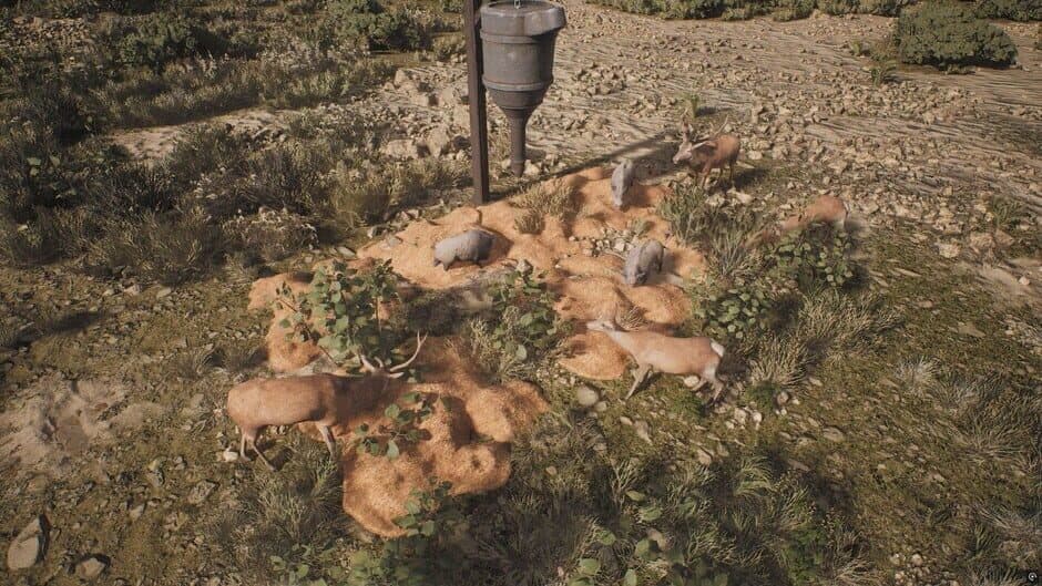 Скриншот 3 из Project Hunt: Lone Star Hunting Ranch