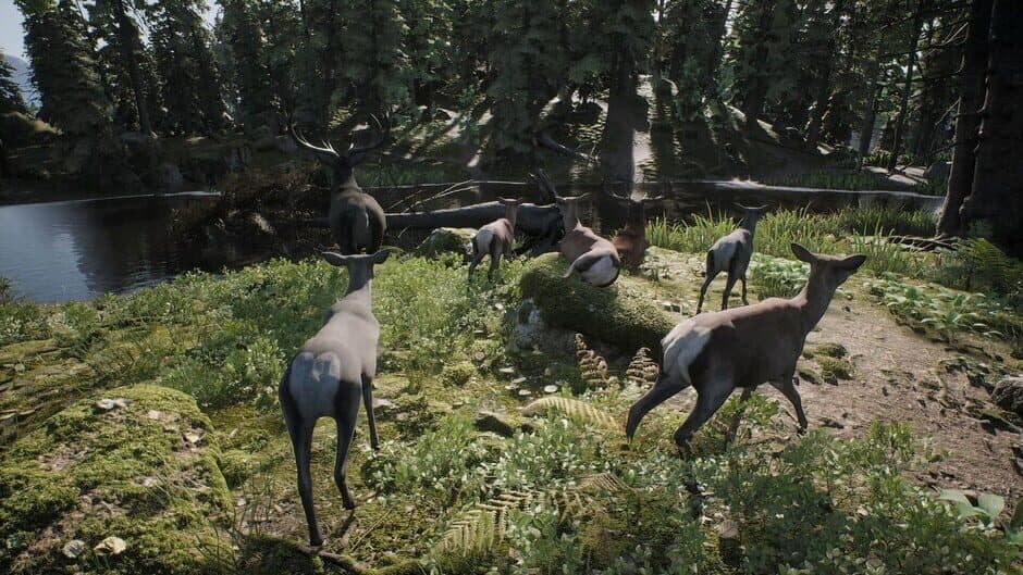 Скриншот 2 из Project Hunt: Trophy Sanctuary
