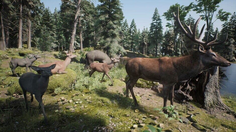 Скриншот 3 из Project Hunt: Trophy Sanctuary