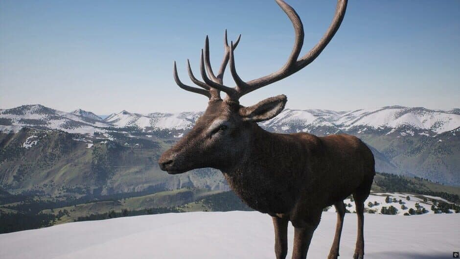 Скриншот 4 из Project Hunt: Trophy Sanctuary