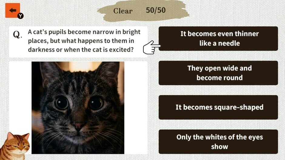 Скриншот 4 из Cat Doctor: For Loyal Servants