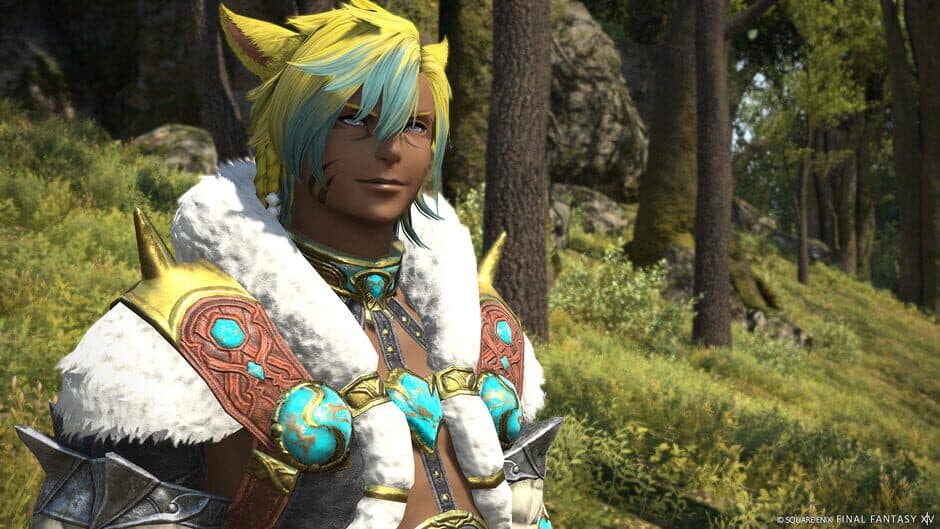 Скриншот 3 из Final Fantasy XIV: Trail to the Heavens