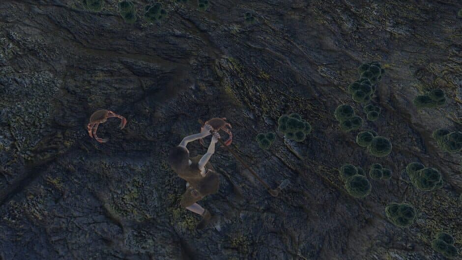 Скриншот 2 из Skara