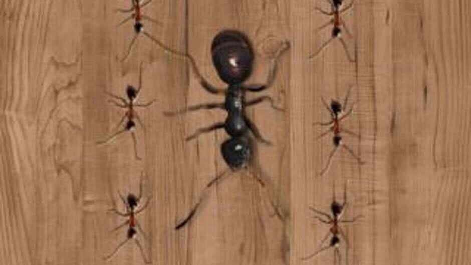 Скриншот 4 из Ant Smasher