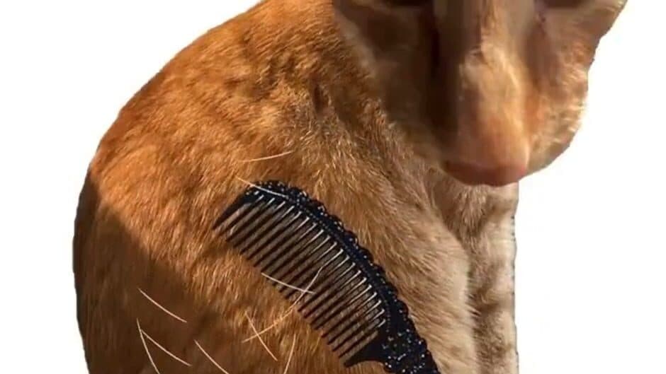 Скриншот 2 из Brush Jjaemu