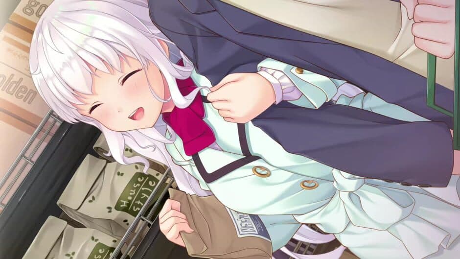 Скриншот 3 из 1/1 Kareshi Kanojo
