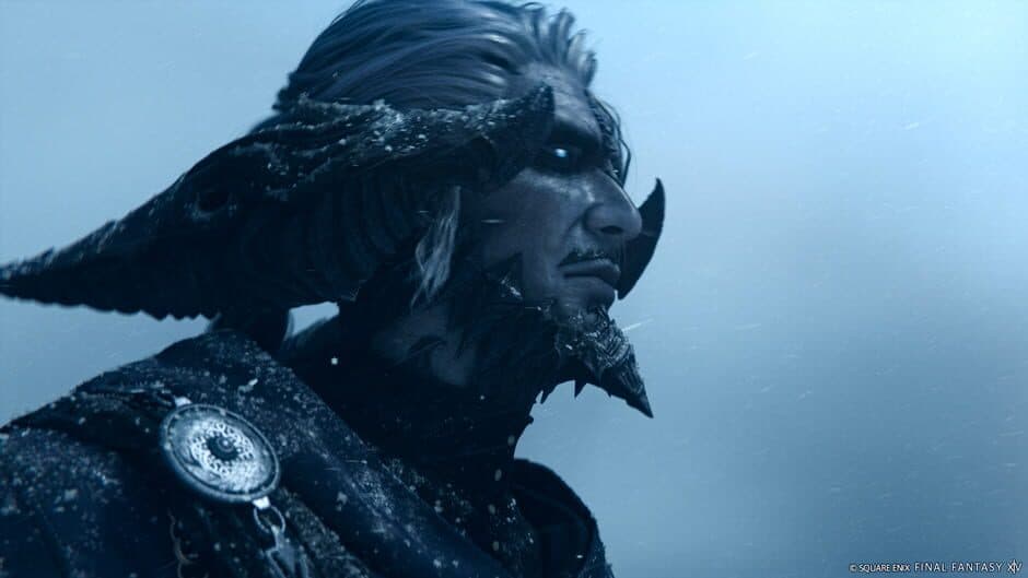 Скриншот 11 из Final Fantasy XIV: Evercold