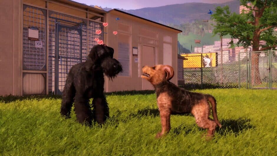Скриншот 10 из Animal Shelter 2: Hunting Dogs Pack
