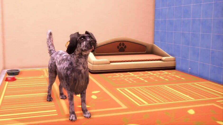 Скриншот 1 из Animal Shelter 2: Hunting Dogs Pack