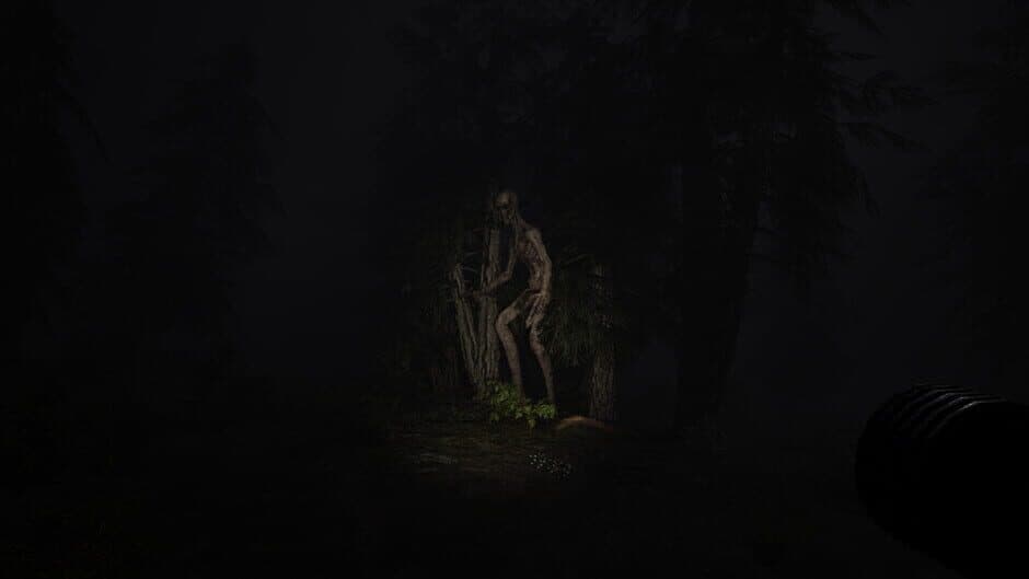 Скриншот 2 из Echoes of Sin: Confusion