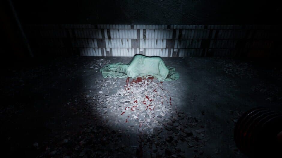 Скриншот 3 из Echoes of Sin: Confusion