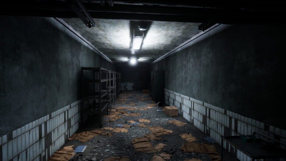 Скриншот 5 из Echoes of Sin: Confusion