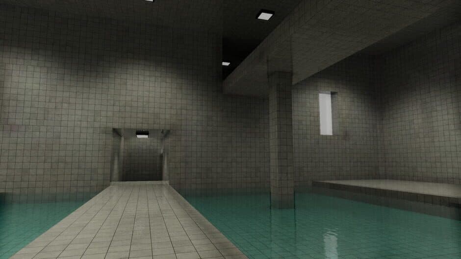 Скриншот 6 из Transcendence in the Poolrooms