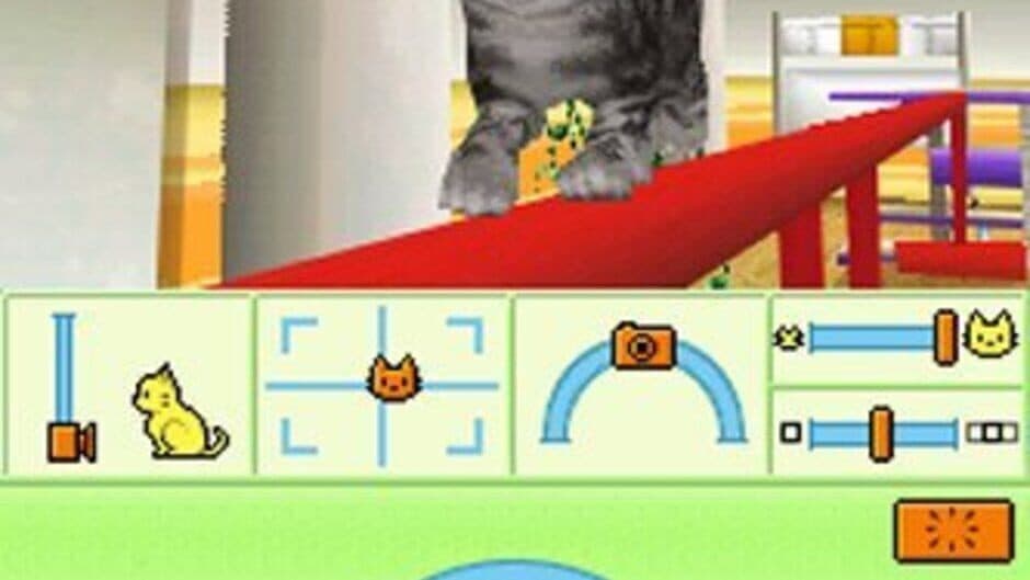 Скриншот 1 из Petz: Catz Playground