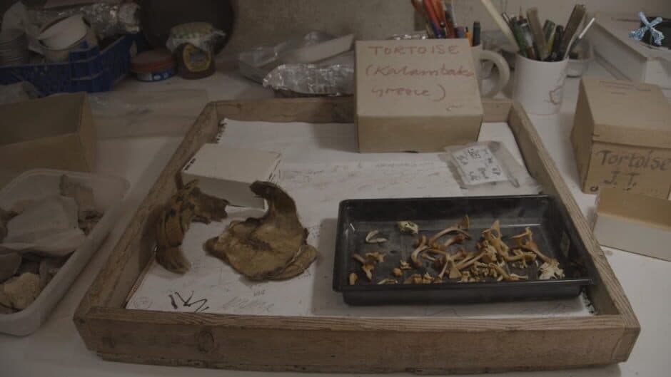 Скриншот 3 из Rebekka's Bag O'Bones