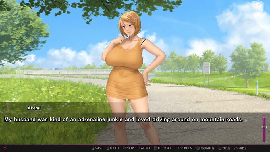 Скриншот 2 из Afternoon Affairs & Helpless Housewives