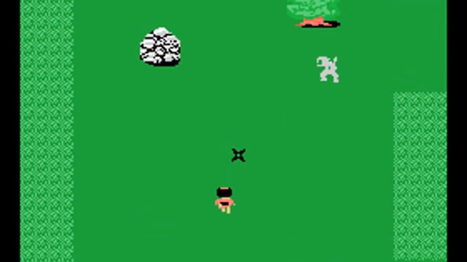 Скриншот 2 из Ninja Princess