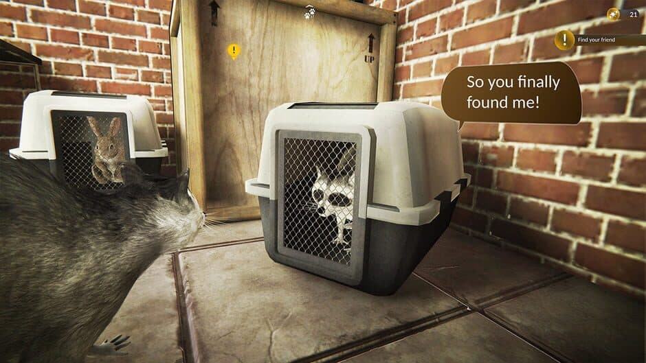 Скриншот 6 из Raccoon Survival Simulator