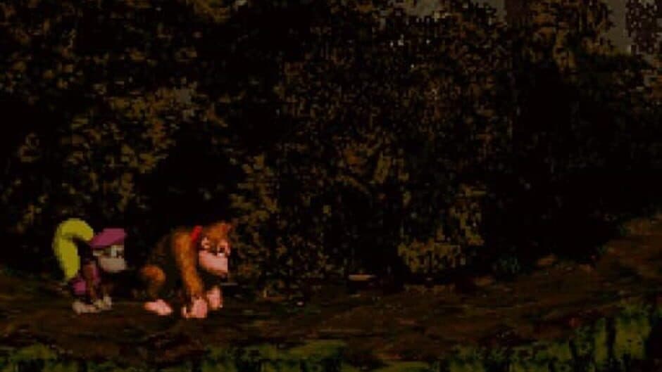 Скриншот 1 из Donkey Kong Country 4: The Kongs Return