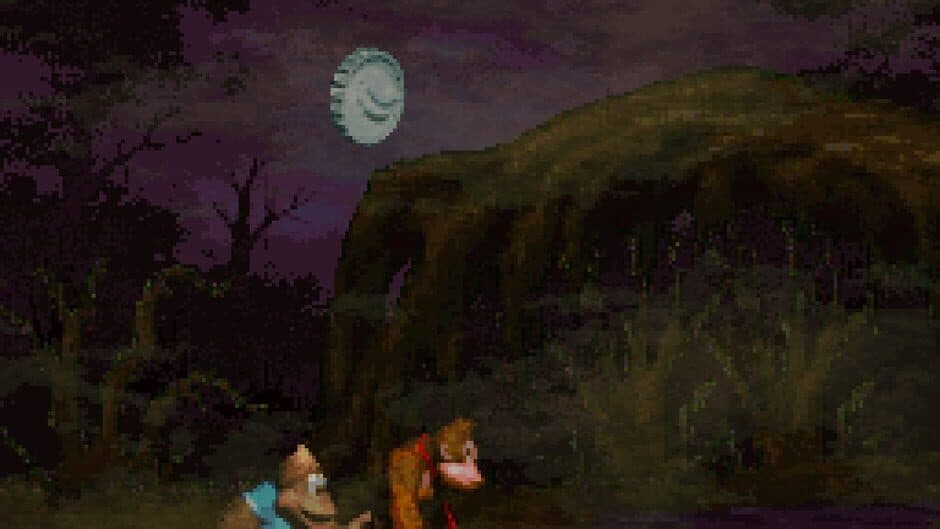 Скриншот 3 из Donkey Kong Country 4: The Kongs Return