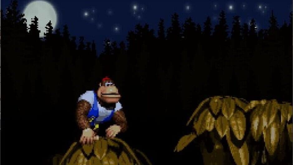 Скриншот 4 из Donkey Kong Country 4: The Kongs Return