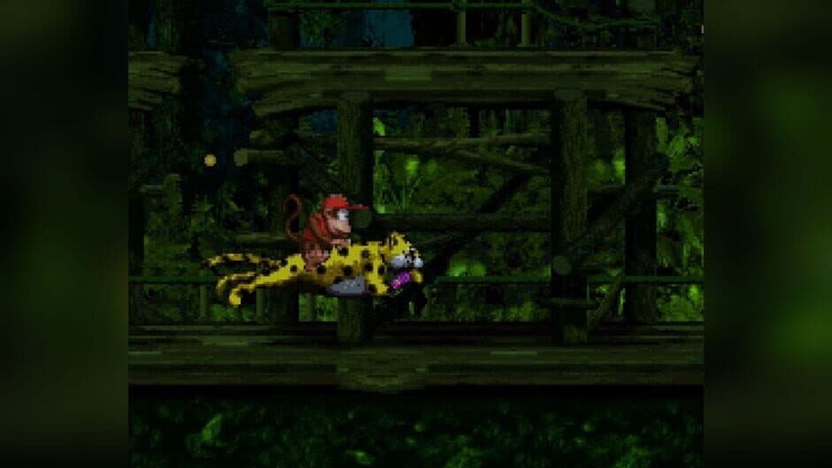 Скриншот 5 из Donkey Kong Country 4: The Kongs Return