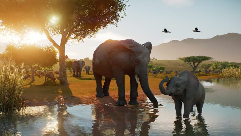 Скриншот 1 из Planet Zoo 2