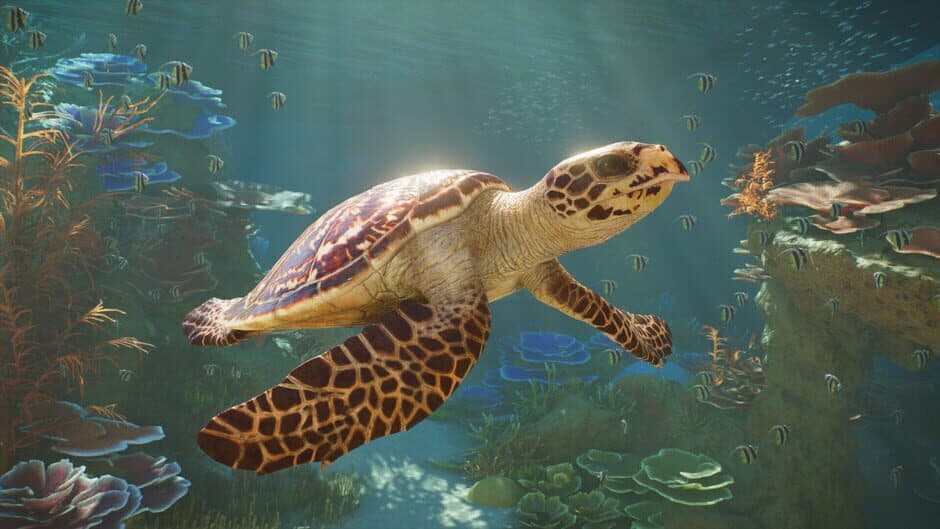 Скриншот 3 из Planet Zoo 2