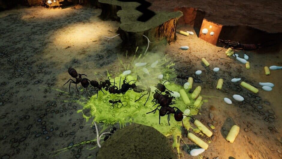 Скриншот 3 из Empires of the Undergrowth: Exploding Ants