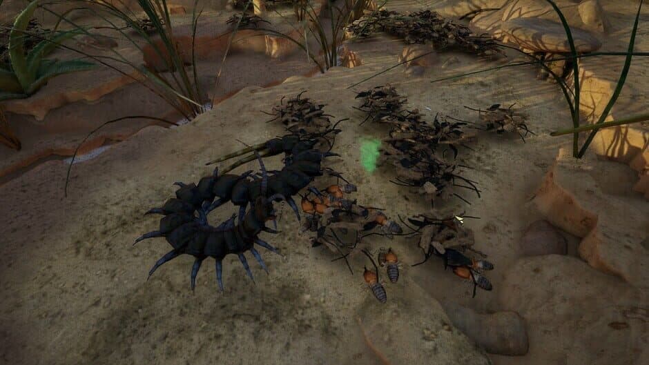 Скриншот 7 из Empires of the Undergrowth: Exploding Ants