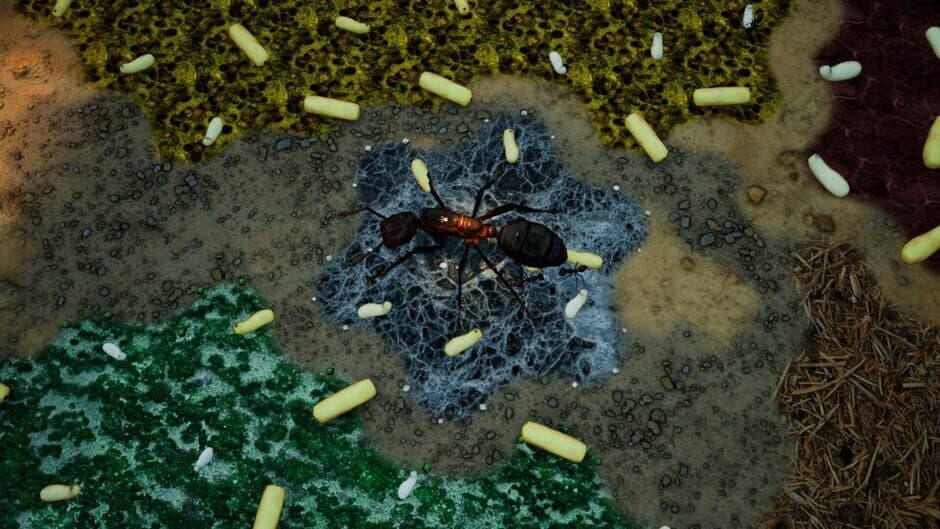 Скриншот 9 из Empires of the Undergrowth: Exploding Ants