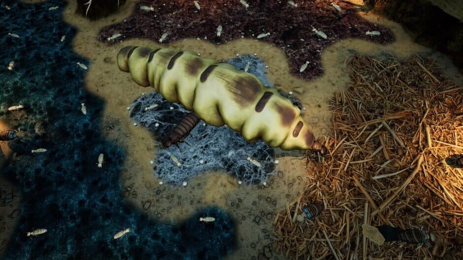 Скриншот 11 из Empires of the Undergrowth: Exploding Ants