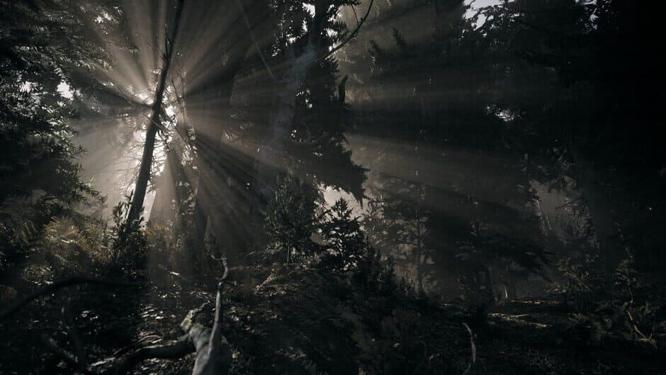 Скриншот 3 из Nature of Dread