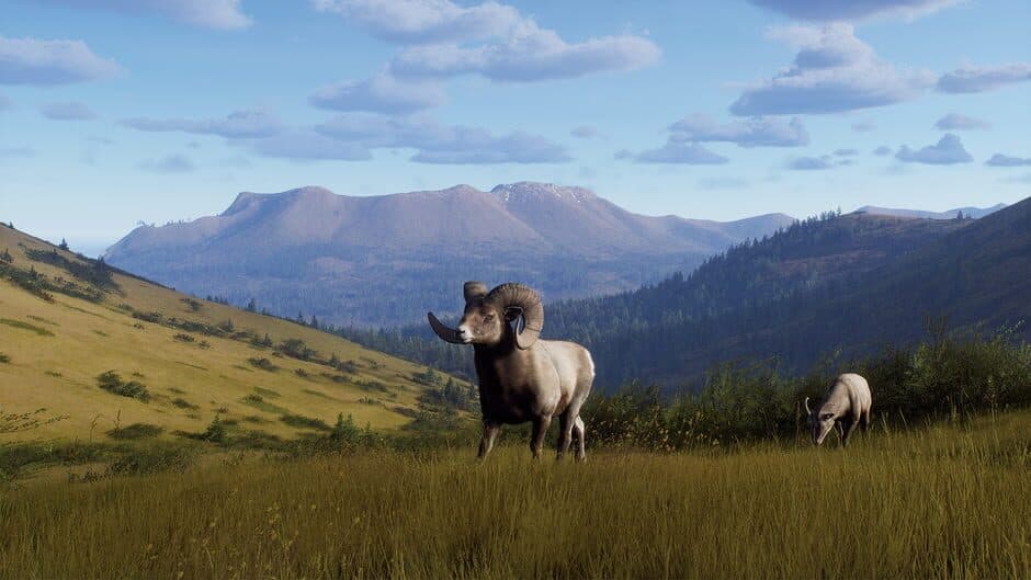 Скриншот 5 из Way of the Hunter: Elkcrest Island