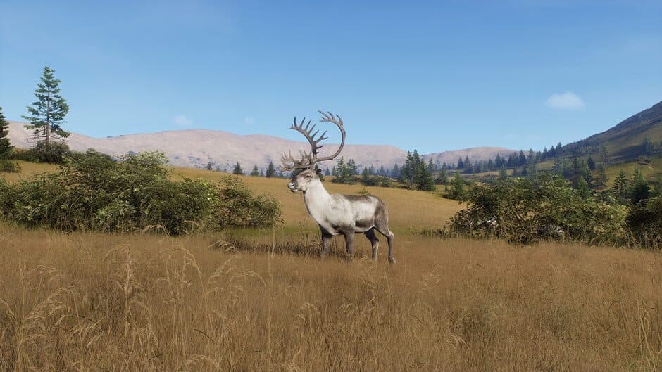 Скриншот 6 из Way of the Hunter: Elkcrest Island